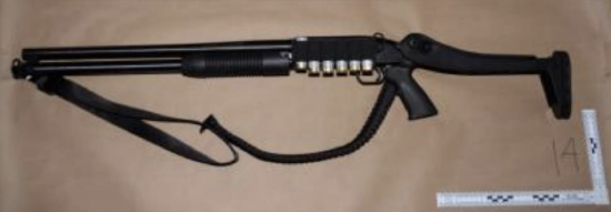 美国司法部：华盛顿晚宴枪击案嫌犯行刺前曾查询特朗普行踪