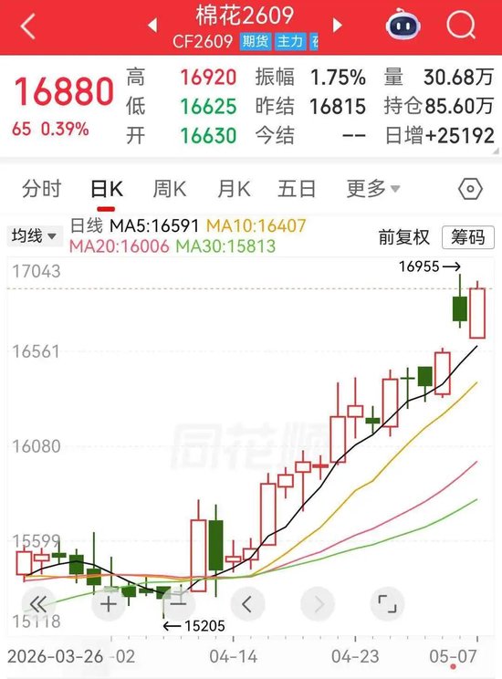 郑棉继续冲高，底气何在？