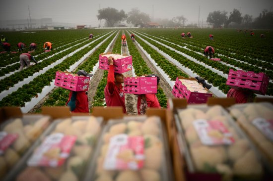 美国食品价格飙升 战争和厄尔尼诺现象将雪上加霜