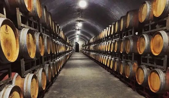 净利润七千万暴跌近八成，张裕的葡萄酒还“顺滑”吗？