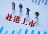 三冲IPO！这家公司超九成收入依赖单一产品