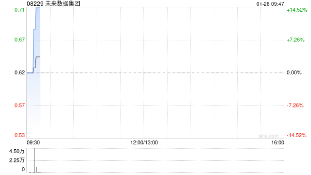 未来数据集团授出540万份购股权