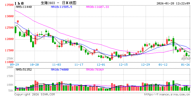 2025年生猪自繁自养与仔猪销售利润均缩减