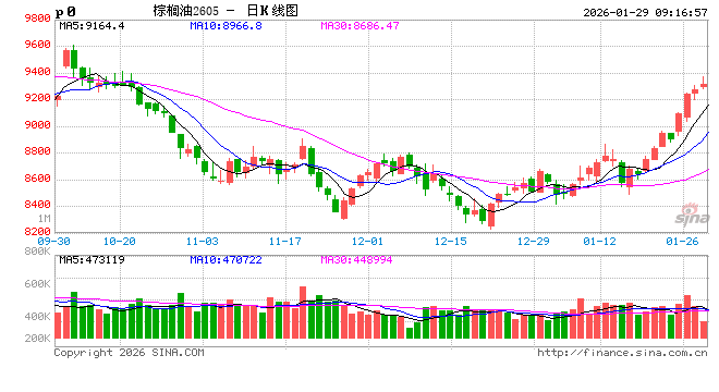 【市场聚焦】油脂：偏差小节奏