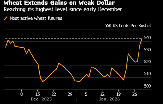 芝加哥小麦期货升至近两个月高点 因美元表现乏力