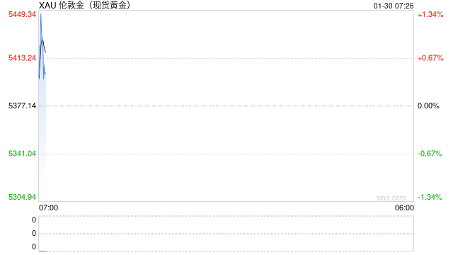 避险推升贵金属价格 金价新高背后市场分歧加大