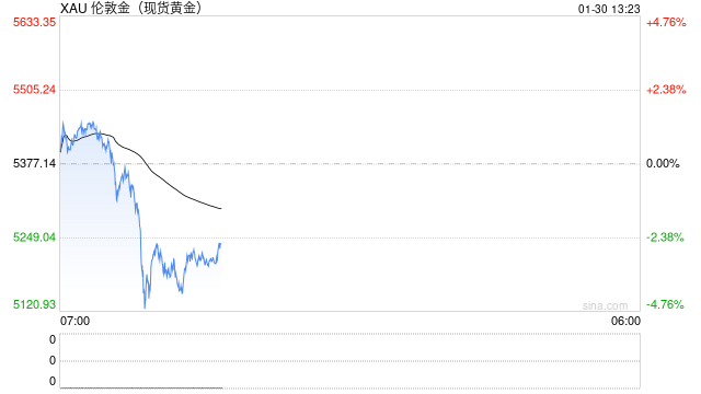 亚洲黄金ETF创纪录资金流入引担忧，或成金价见顶信号