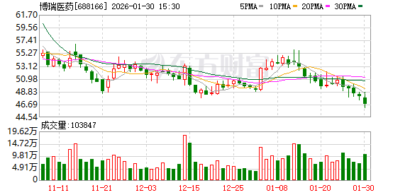博瑞医药：2025年年度业绩预告