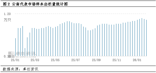 春节行情“熄火”：云南蛋价冲高回落 2月或加速探底