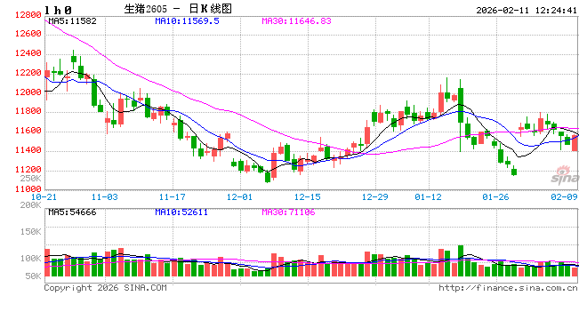 高瞻远“猪”：历年春节生猪屠宰量盘点 一季度后期行情如何波动