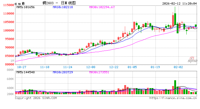 光大期货：2月12日有色金属日报
