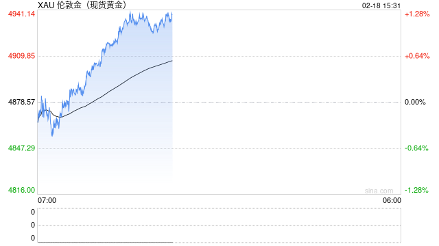 世界黄金协会美洲区CEO解读2026年金价新逻辑:地缘风险成首要因素,全球央行连续16年净买入