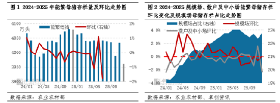 从产能过剩到结构优化：能繁母猪存栏量下降如何重塑生猪产业链？