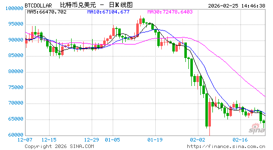 比特币一度跳涨至6.6万美元 市场紧盯特朗普国情咨文演讲