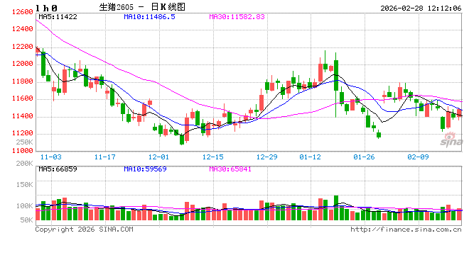 高瞻远“猪”：节后亏损再度加剧 生猪养殖何时走出困境？