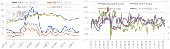 豆粕：短期支撑仍在，中期拐点存疑