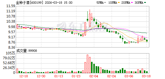金种子酒：公司一直坚持长期主义，聚焦主业