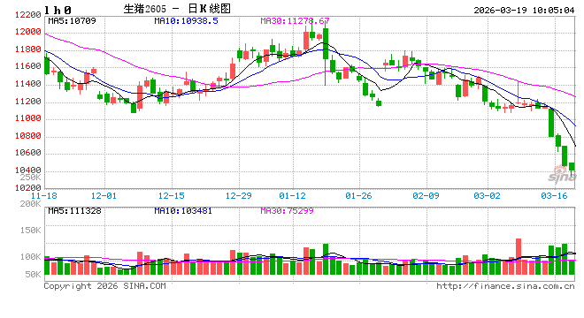 华泰期货：市场情绪有所回升，猪价整体持稳运行