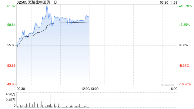 派格生物医药-B午前涨逾8% 获腾瑞制药百亿目标订单及1.4亿港币权益金