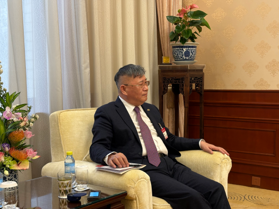 对话绿地张玉良：今年是房地产市场筑底的关键一年