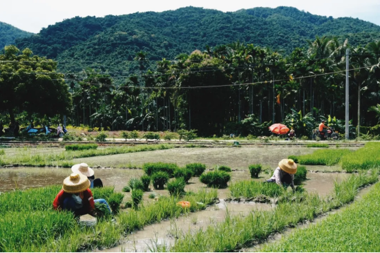 大茅村的她给余华写了一封信