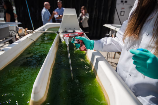 埃克森科学家曾对藻类生物燃料存疑 但这家石油巨头仍大肆宣传