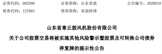 虚减利润被罚!002598,将被ST!