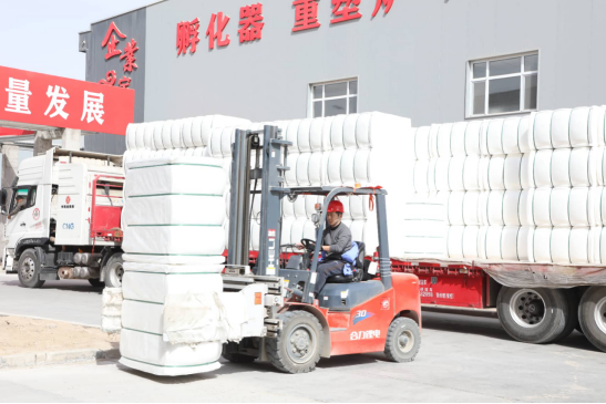 对口援疆赋能本地资源,阿拉尔这一企业营收超亿元