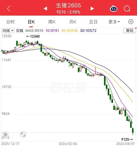 猪肉股大涨，生猪价格却不断下跌，原因是？