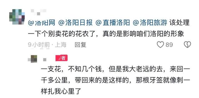 游客称在洛阳一市集买的牡丹,竟是牙签固定的 “断头花”!市集回应:已关注,正核实