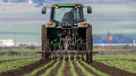 从战争到气候：“超级厄尔尼诺”事件或将给全球粮食成本带来新风险