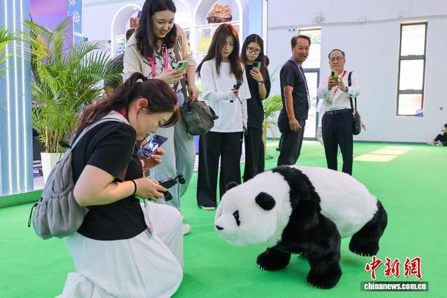 探馆消博会：多款智能机器人集中亮相
