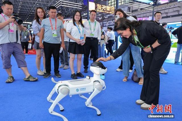 探馆消博会：多款智能机器人集中亮相