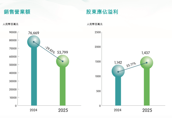 “铅蓄电池之王”天能动力营收暴跌,瘦身没有更健康