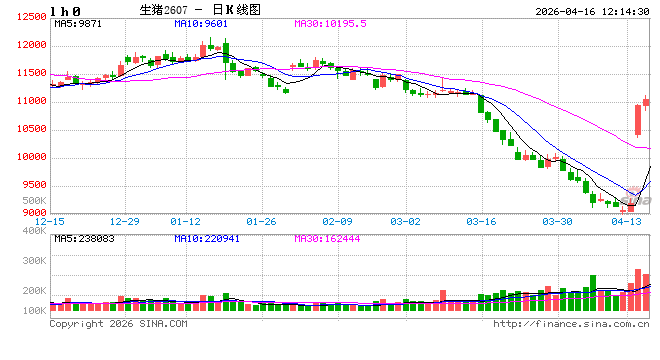 高瞻远“猪”：一季度生猪市场深度承压 二季度价格或延续磨底