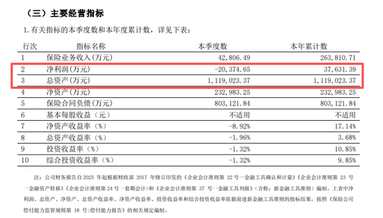 君龙人寿2025年财报透视：百亿资产背后的隐忧