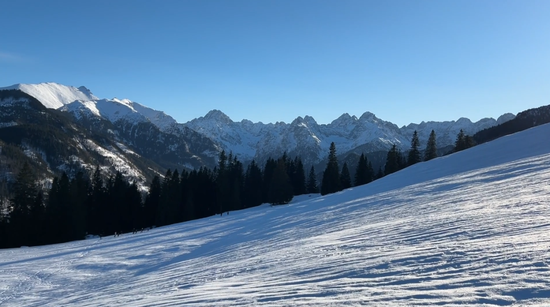 中银保险副总经理马兴宏平调中银三星人寿！同样下辖寿、财险子公司，中行、建行旗下四家险企发展差异不小