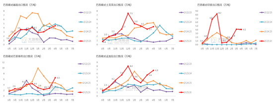 棉花：市场心态不稳，抛储政策传将出台
