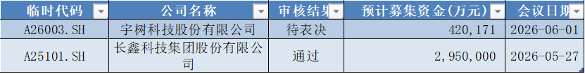长鑫科技过会，*ST禾信领跑科创板
